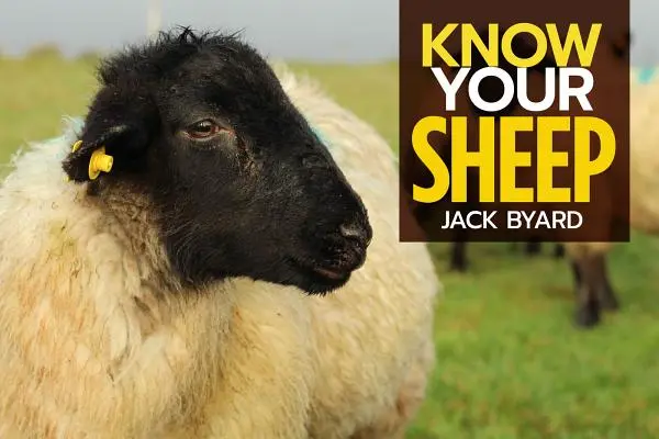 Poznajte svoje ovce - Know Your Sheep