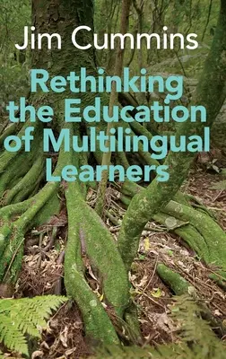 Prehodnotenie vzdelávania viacjazyčných žiakov: Kritická analýza teoretických koncepcií - Rethinking the Education of Multilingual Learners: A Critical Analysis of Theoretical Concepts