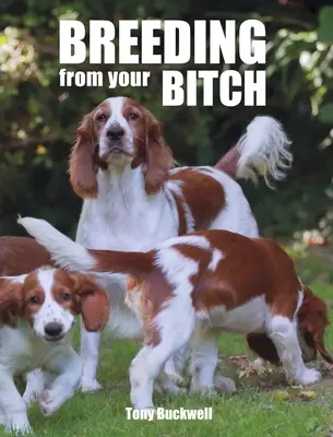 Chov z vašej suky - Breeding from Your Bitch