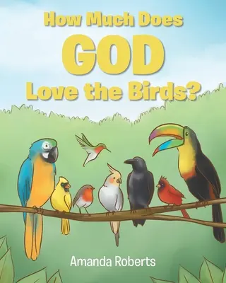 Ako veľmi má Boh rád vtáky? - How Much Does God Love the Birds?