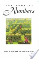 Kniha o číslach - The Book of Numbers