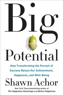 Veľký potenciál: Ako transformácia snahy o úspech zvyšuje naše úspechy, šťastie a pohodu - Big Potential: How Transforming the Pursuit of Success Raises Our Achievement, Happiness, and Well-Being