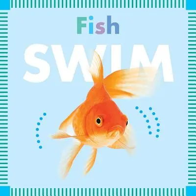 Ryby plávajú - Fish Swim