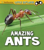 Úžasné mravce - Amazing Ants
