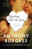 Nič ako slnko: Príbeh Shakespearovho milostného života - Nothing Like the Sun: A Story of Shakespeare's Love-Life