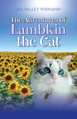Dobrodružstvá kocúra Lambkina - The Adventures of Lambkin the Cat