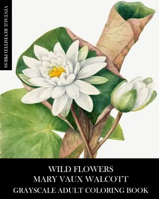 Divoké kvety: Mary Vaux Walcottová Omaľovánky v stupňoch šedej pre dospelých - Wild Flowers: Mary Vaux Walcott Grayscale Adult Coloring Book