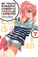 Moja mladosť romantická komédia je zlá, ako som očakával, zv. 7 (Light Novel) - My Youth Romantic Comedy Is Wrong, as I Expected, Vol. 7 (Light Novel)