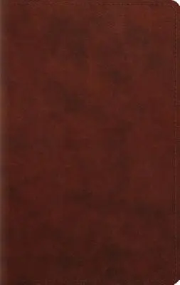 Veľká tlač Biblie osobnej veľkosti-ESV - Large Print Personal Size Bible-ESV