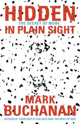Skryté na prvý pohľad: Tajomstvo viac - Hidden in Plain Sight: The Secret of More