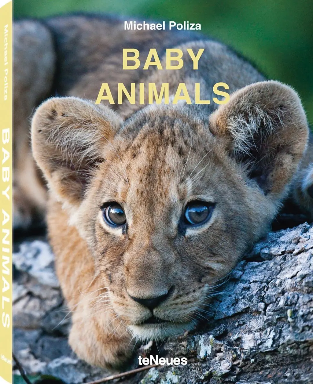 Zvieracie mláďatá - Baby Animals