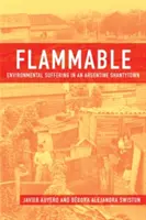 Horľavé: Environmentálne utrpenie v argentínskej chatrči - Flammable: Environmental Suffering in an Argentine Shantytown