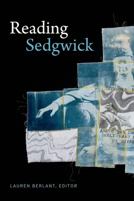 Čítanie Sedgwicka - Reading Sedgwick