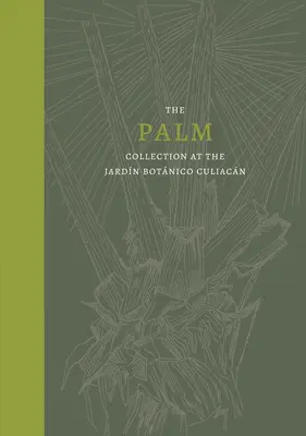 Palm: Zbierka paliem v Jardn Botnico Culiacn - Palm: The Palm Collection at the Jardn Botnico Culiacn