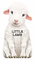 Malý baránok - Little Lamb