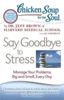 Sliepková polievka pre dušu: Rozlúčte sa so stresom: Stres: zvládnite svoje problémy, veľké aj malé, každý deň - Chicken Soup for the Soul: Say Goodbye to Stress: Manage Your Problems, Big and Small, Every Day