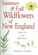 Letné a jesenné divoké kvety Nového Anglicka - Summer & Fall Wildflowers of New England