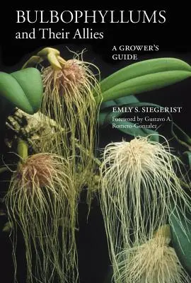 Bulbofilné rastliny a ich spojenci - Bulbophyllums and Their Allies