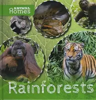 Dažďové pralesy - Rainforests