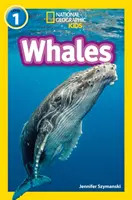 Veľryby - úroveň 1 - Whales - Level 1