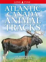 Atlantická Kanada Stopy zvierat - Atlantic Canada Animal Tracks