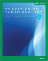 Princípy anatómie človeka - Principles of Human Anatomy