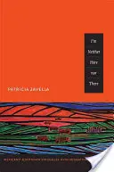Nie som ani tu, ani tam: Quotidian Struggles with Migration and Poverty: Mexicans' Quotidian Struggles with Migration and Poverty - I'm Neither Here Nor There: Mexicans' Quotidian Struggles with Migration and Poverty