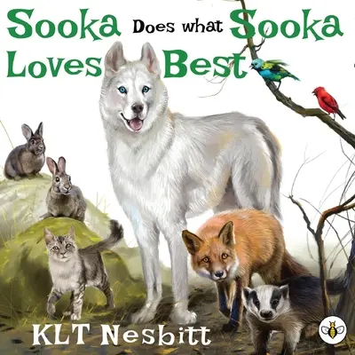 Sooka robí to, čo má najradšej - Sooka Does What Sooka Loves Best
