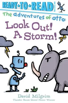 Pozor! búrka! Pripravené na čítanie 1. úroveň - Look Out! a Storm!: Ready-To-Read Pre-Level 1