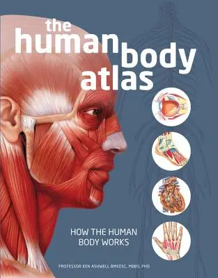 Atlas ľudského tela: Ako funguje ľudské telo - The Human Body Atlas: How the Human Body Works