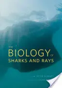 Biológia žralokov a rají - The Biology of Sharks and Rays