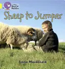 Ovečka na skokana - Sheep to Jumper