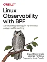 Pozorovateľnosť Linuxu s Bpf: Pokročilé programovanie pre analýzu výkonu a siete - Linux Observability with Bpf: Advanced Programming for Performance Analysis and Networking