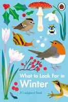 Na čo sa zamerať v zime - What to Look For in Winter