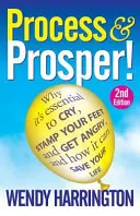 Proces a prosperita 2. vydanie - Process and Prosper 2nd Edition