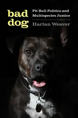 Zlý pes: Pitbull Politics and Multispecies Justice (Politika pitbulov a spravodlivosť pre viaceré druhy) - Bad Dog: Pit Bull Politics and Multispecies Justice