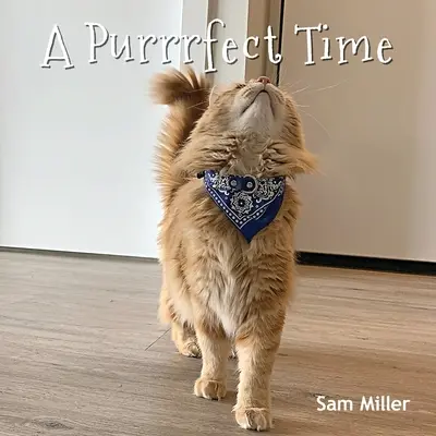 Purrrfektný čas - A Purrrfect Time