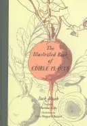 Ilustrovaná kniha jedlých rastlín - The Illustrated Book of Edible Plants