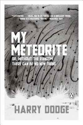 Môj meteorit: Bez náhody nemôže vzniknúť žiadna nová vec - My Meteorite: Or, Without the Random There Can Be No New Thing