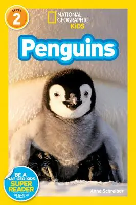 National Geographic Readers: Tučniaky! - National Geographic Readers: Penguins!