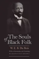 Duše černošského ľudu - The Souls of Black Folk
