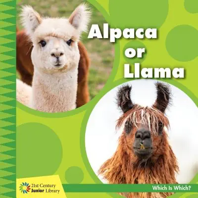 Alpaka alebo lama - Alpaca or Llama