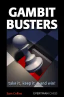 Gambit Busters: a vyhrať! - Gambit Busters: Take It, Keep It...and Win!