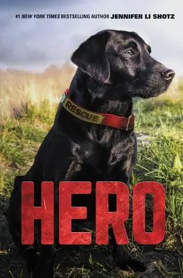 Hrdina - Hero