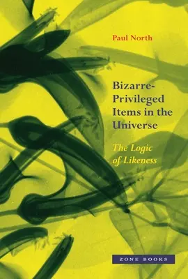 Bizarné-privilegované predmety vo vesmíre: Logika podobnosti - Bizarre-Privileged Items in the Universe: The Logic of Likeness