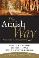 Amišská cesta: Trpezlivá viera v nebezpečnom svete - The Amish Way: Patient Faith in a Perilous World