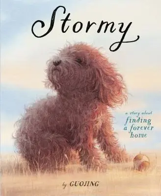 Búrlivé: Príbeh o hľadaní večného domova - Stormy: A Story about Finding a Forever Home