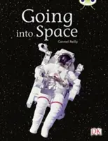 Klub chrobákov Nezávislá literatúra faktu Druhý ročník Zlatá B Let do vesmíru - Bug Club Independent Non Fiction Year Two Gold B Going into Space