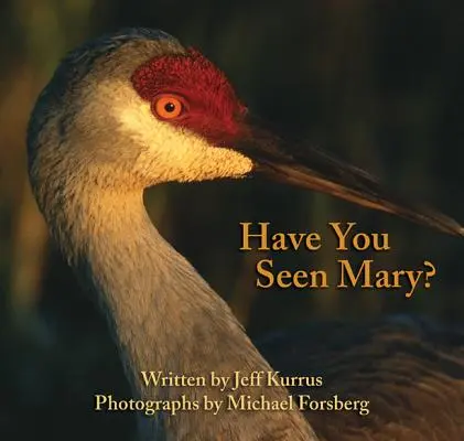 Videli ste Mary? - Have You Seen Mary?