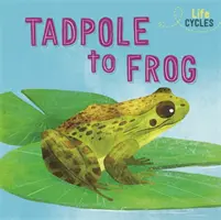 Životné cykly: Od húsenice po žabu - Life Cycles: From Tadpole to Frog